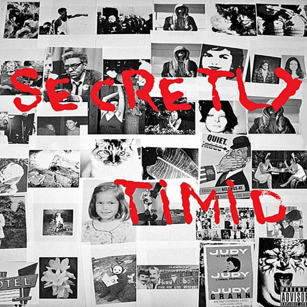 Secretly Timid Cover iTunes Edit