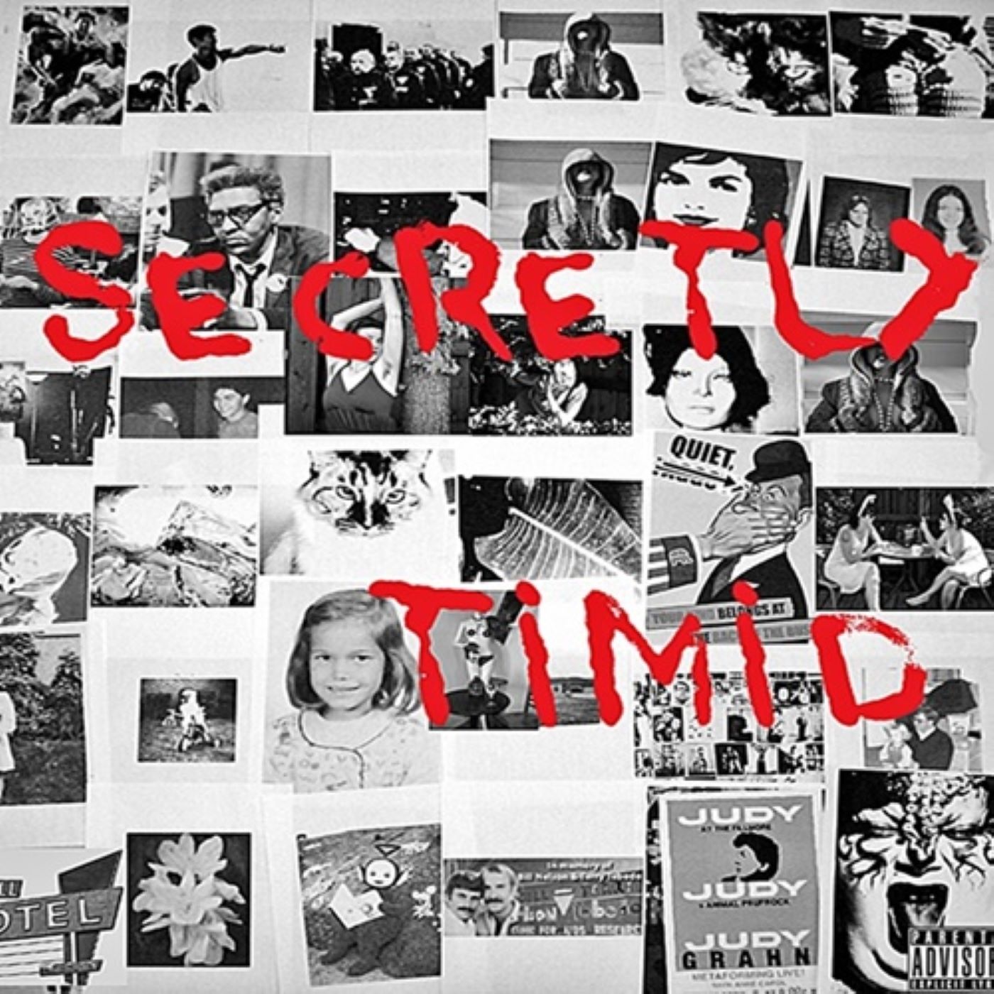 Podcast – Secretly Timid
