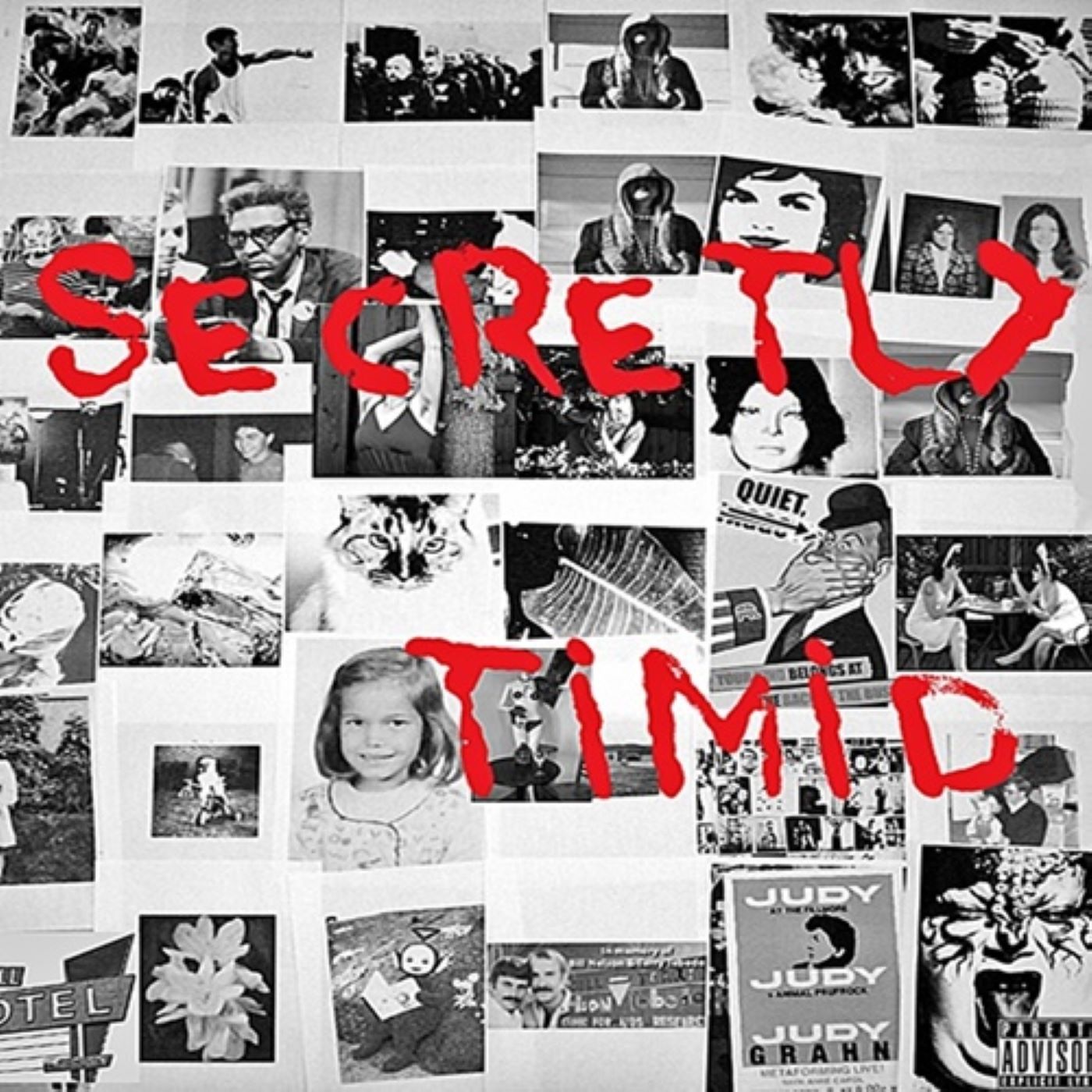 Secretly Timid